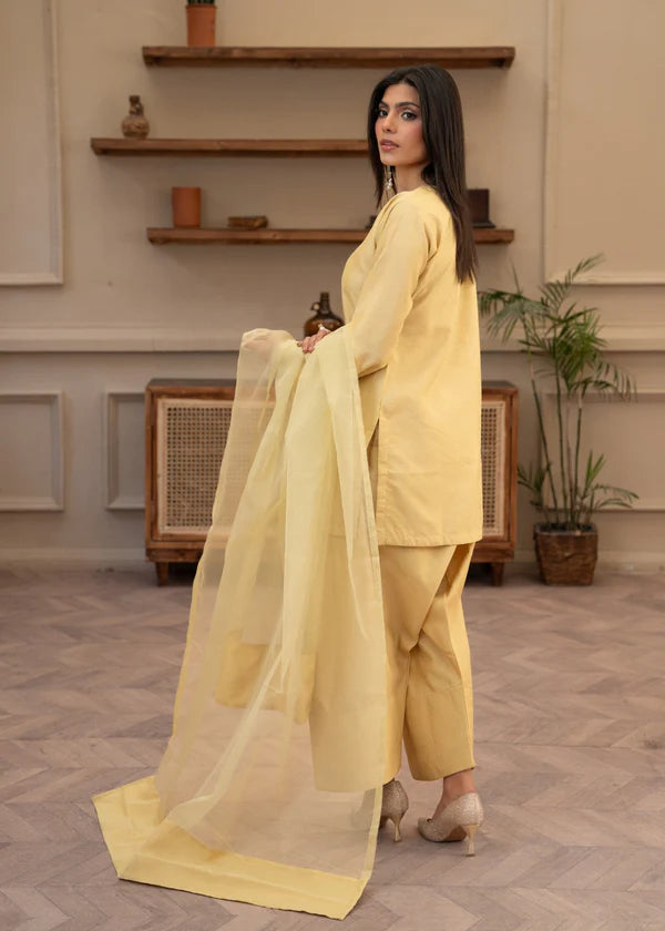 3Pcs (Farshi Shalwar)