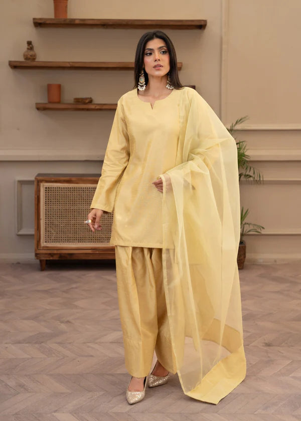 3Pcs (Farshi Shalwar)