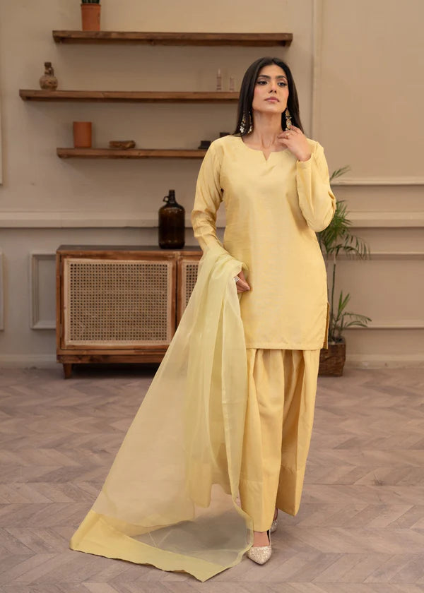 3Pcs (Farshi Shalwar)